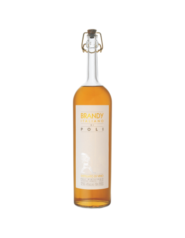 Brandy Italiano Poli