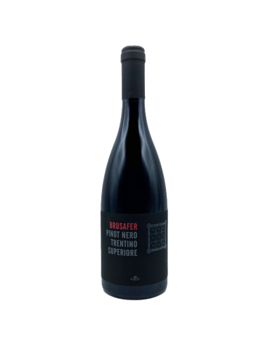 Pinot Nero "Brusafer" 2019 Cavit